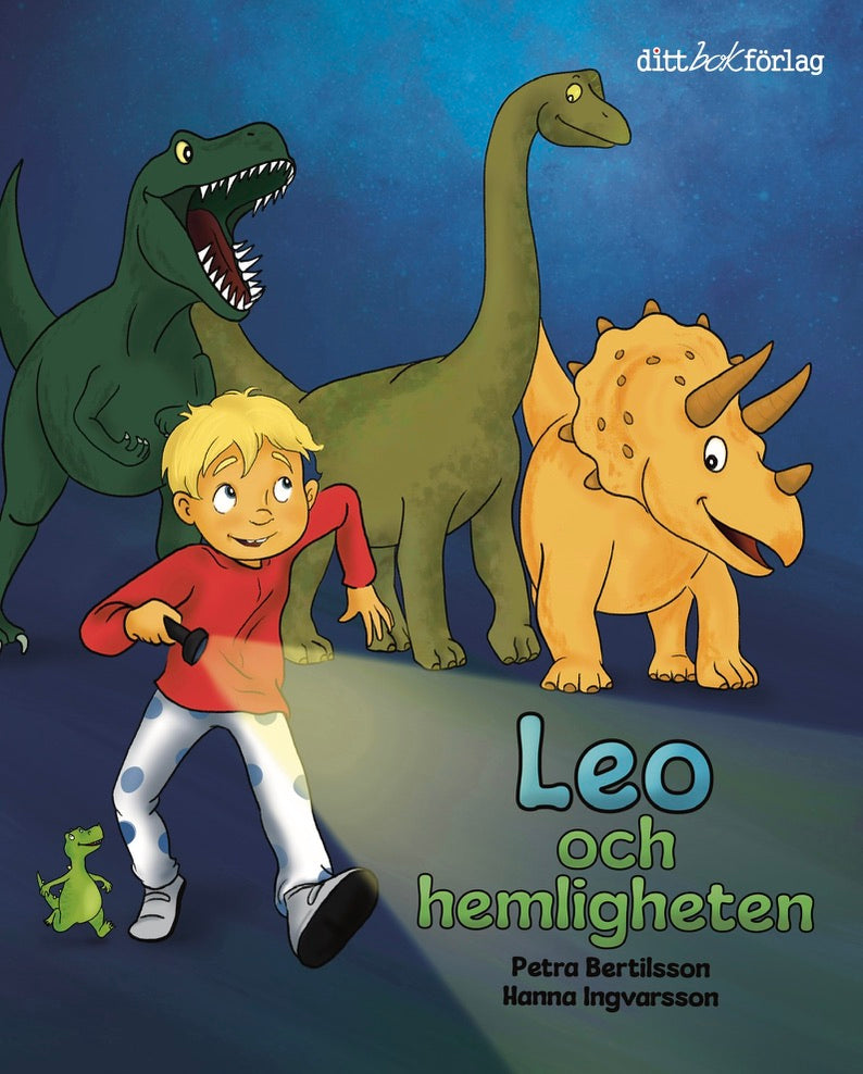 Bokomslag Leo och hemligheten
